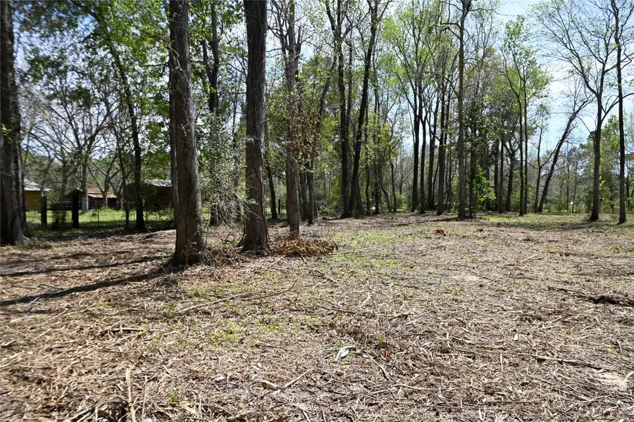 lot 6 County Road 2360, Hardin, TX 77575 - #2