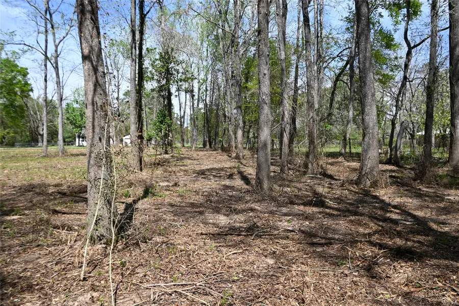 lot 6 County Road 2360, Hardin, TX 77575 - #3