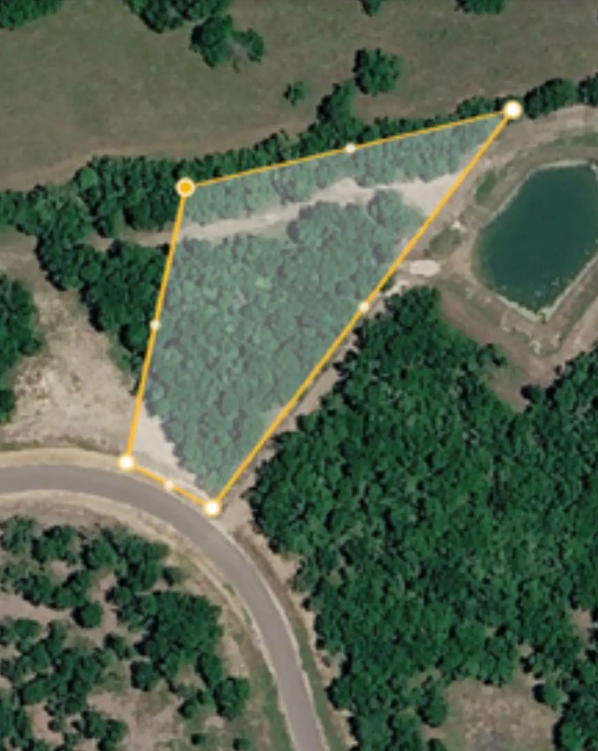 000 Lot 29 Winding Branch, Chappell Hill, TX 77426 - #1