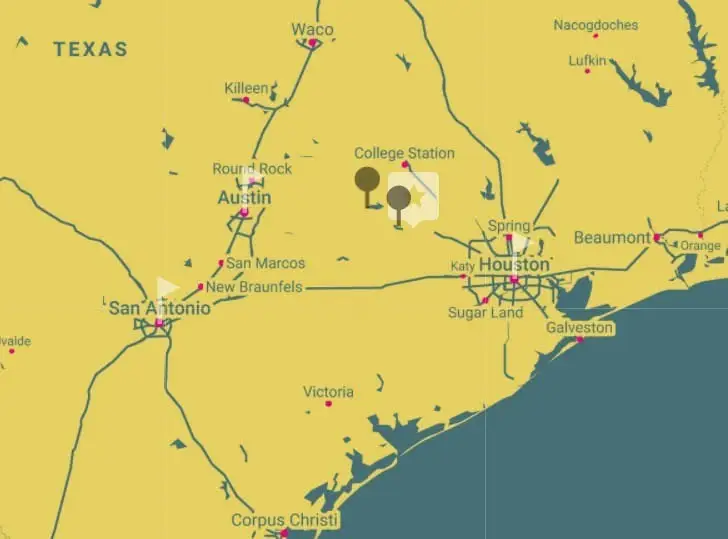 000 Lot 29 Winding Branch, Chappell Hill, TX 77426 - #3