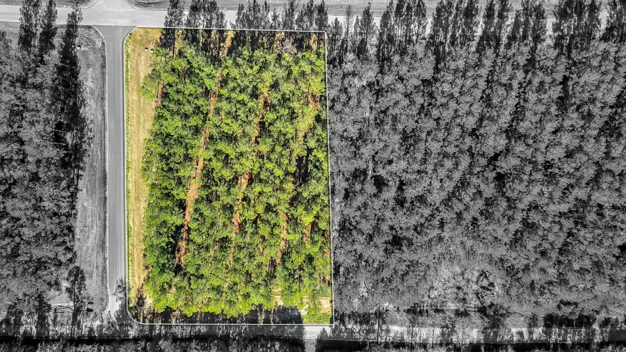 10999 Ruger Road, Willis, TX 77378 - #2