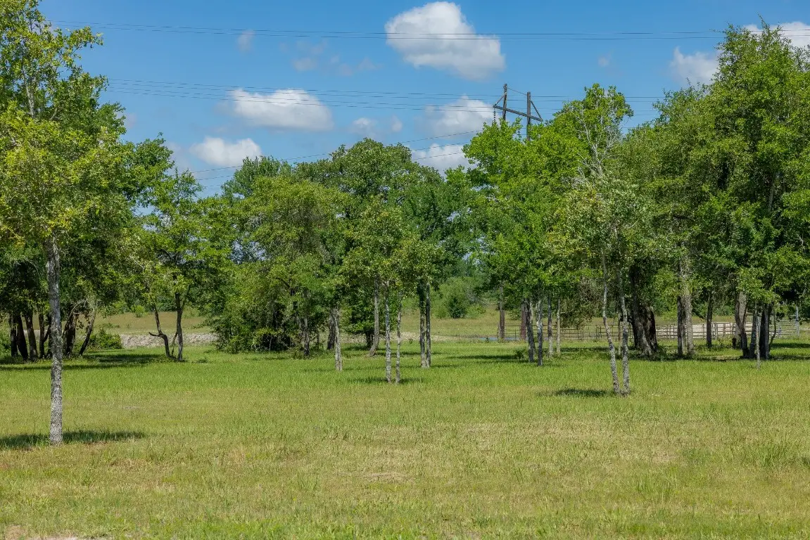 6731 Atakapan Trail, Bedias, TX 77831 - #1