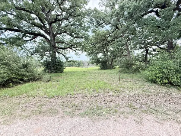 TBD Wannabe Pvt Road, Bryan, TX 77808