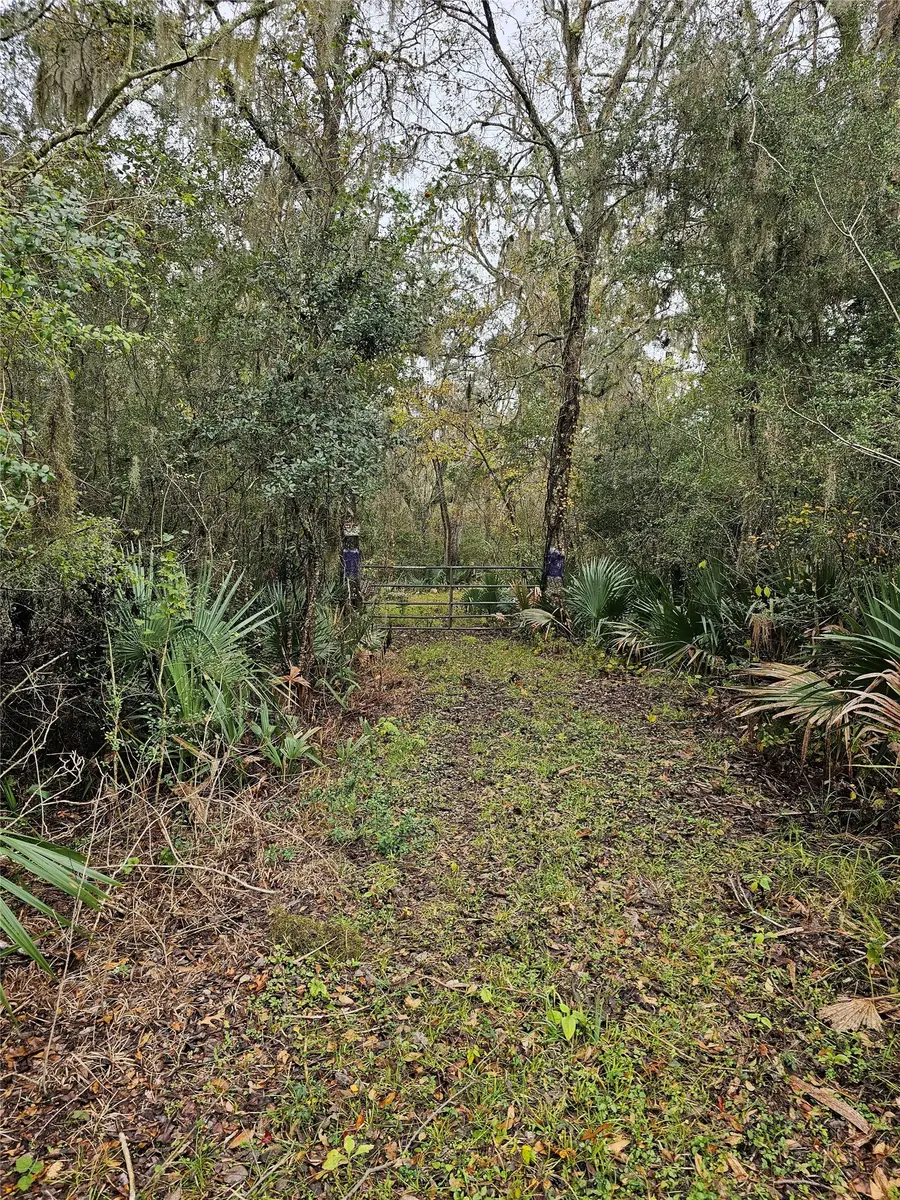 1070 County Road 136 / Live Oak, Van Vleck, TX 77482 - #3