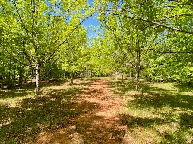 0 Pete Johnson Road, Other, GA 30668 - #2