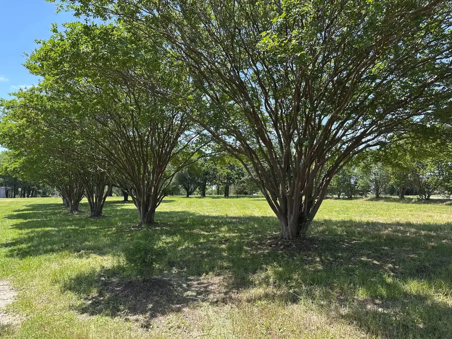 12110 Fm 2293, Bremond, TX 76629 - #2