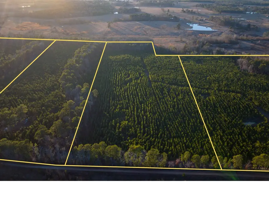 T-1 Cr 4415, Annona Avery, TX 75559 - #3