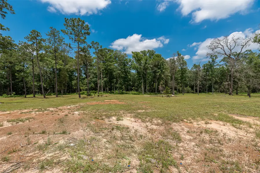 3130 Pine Road, Cleveland, TX 77328 - #3