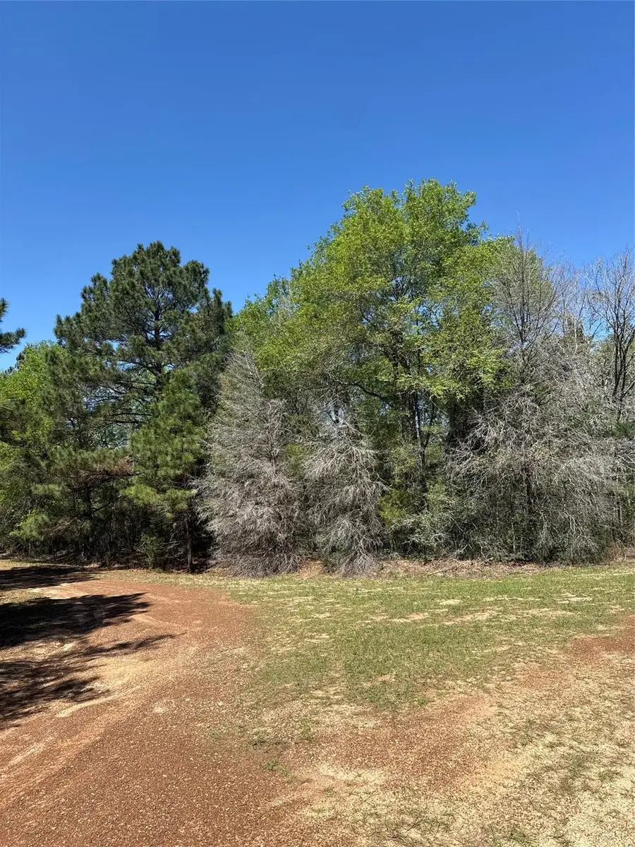 26842 Eagle Drive, Hempstead, TX 77445 - #2