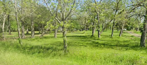 12082 Fm 442 Road, Boling, TX 77420