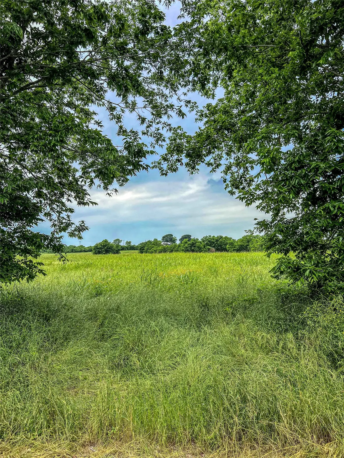 006 Schroeder Rd, Brenham, TX 77435 - #1