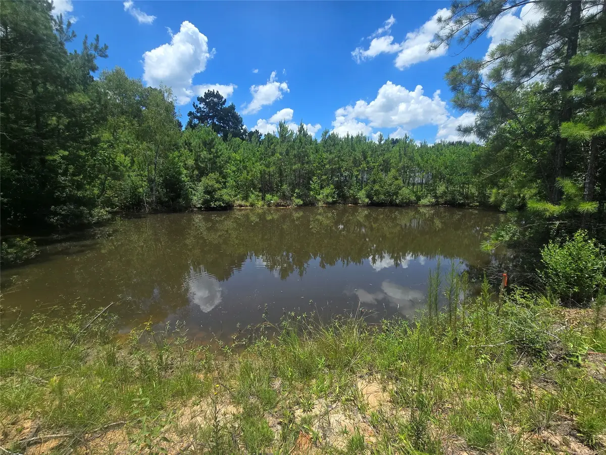 26131 Crown Ranch Boulevard, Montgomery, TX 77316 - #1