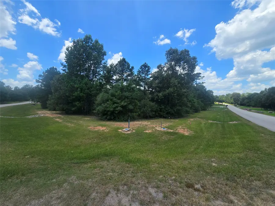 26131 Crown Ranch Boulevard, Montgomery, TX 77316 - #2