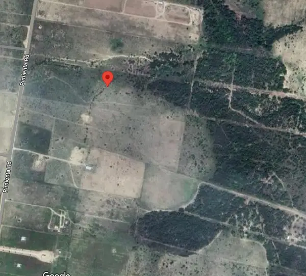 1770 Pimienta Road, Rio Grande City, TX 78582