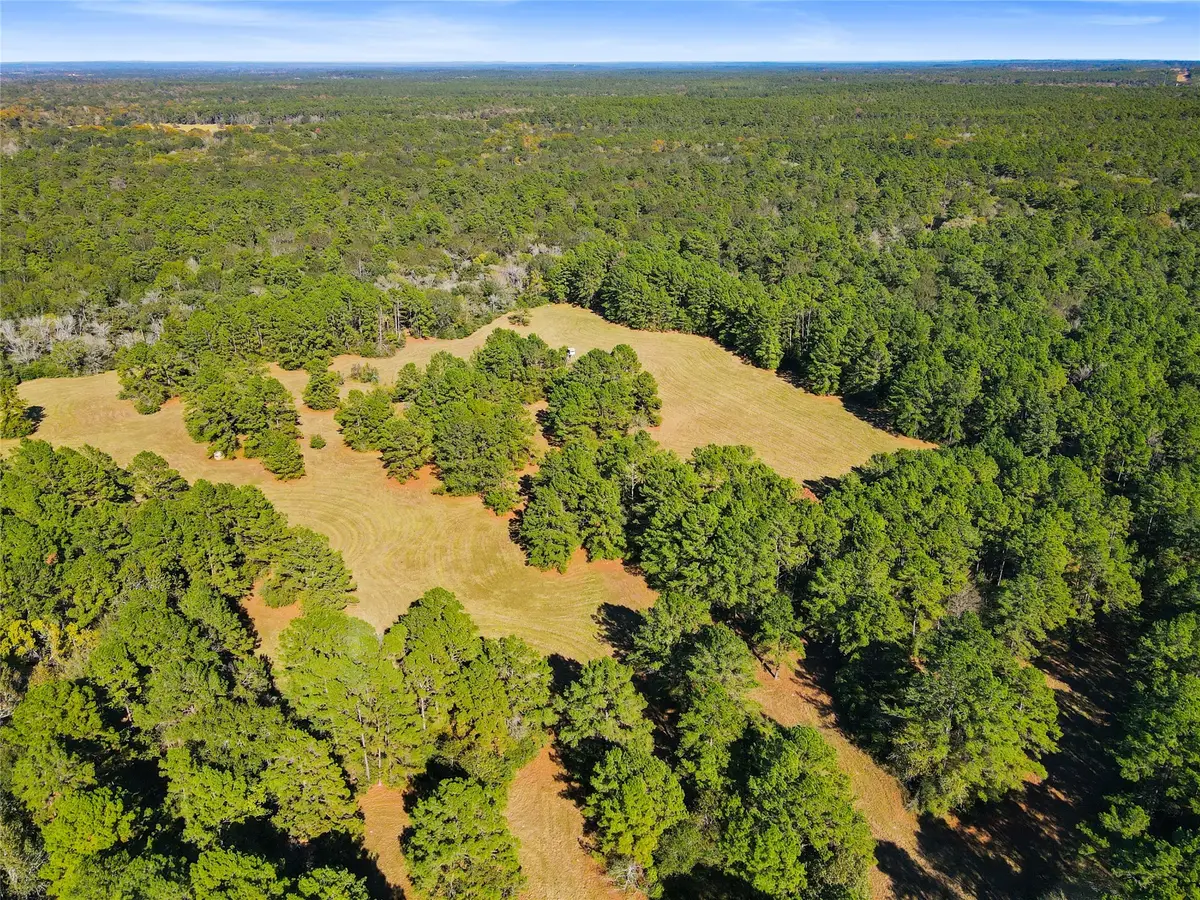 TBD Chandler Lane, Huntsville, TX 77320 - Image #1