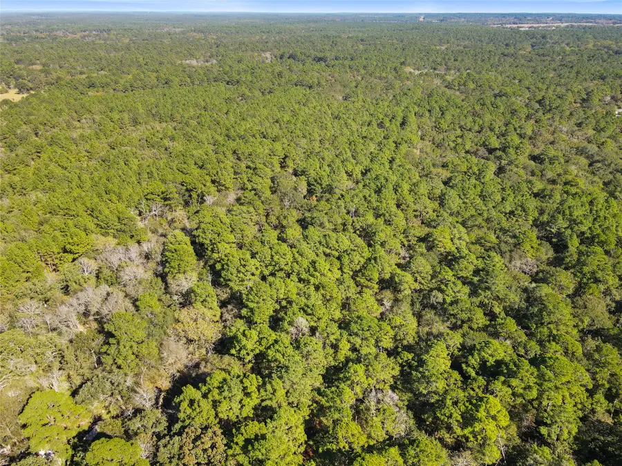 TBD Chandler Lane, Huntsville, TX 77320 - Image #3