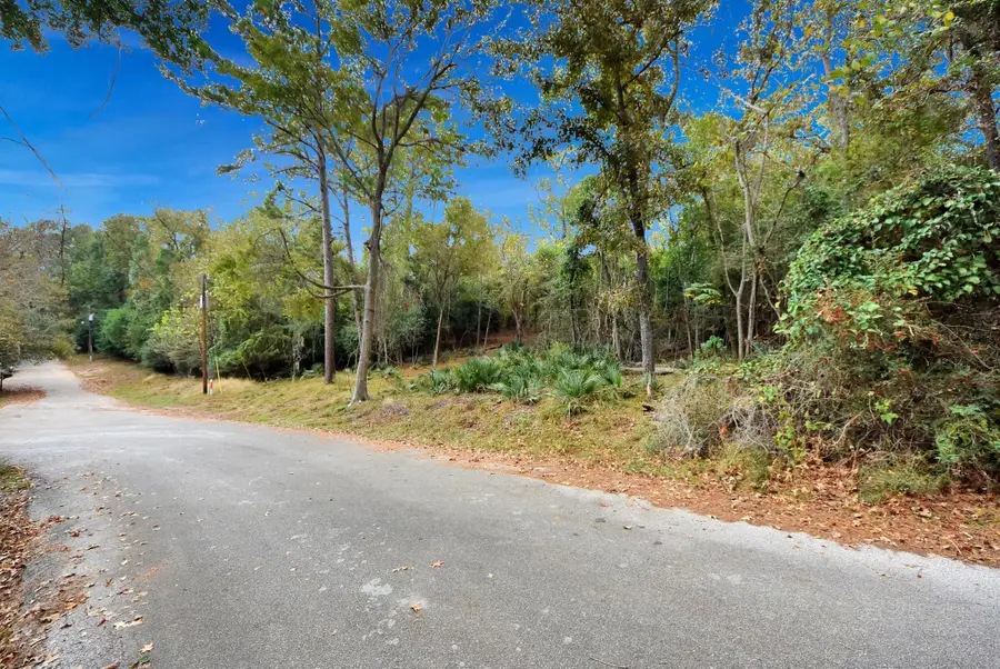 Lot 37 Loper Lake Drive, Livingston, TX 77351 - Image #3