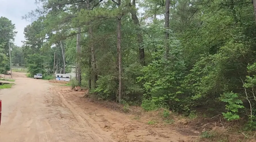 Lot 3 Scarlet Oak Drive, Plantersville, TX 77363 - Image #3