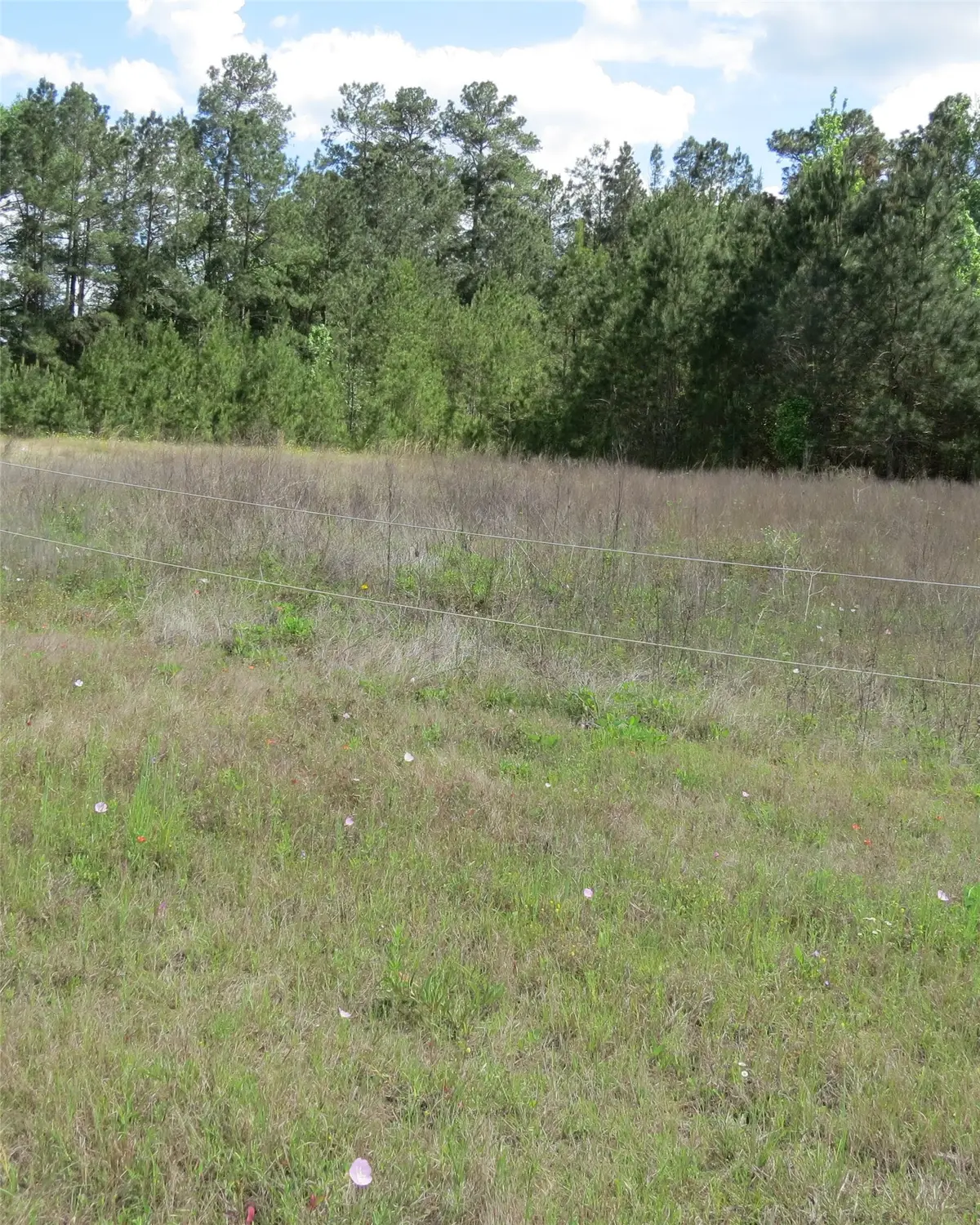 000 Ih 45 Service, Huntsville, TX 77340 - #1