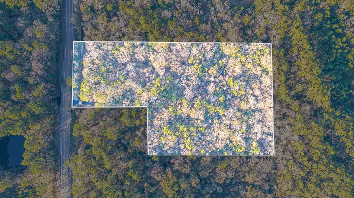 000 Fm 1003 Rd S, Kountze, TX 77625 - #1