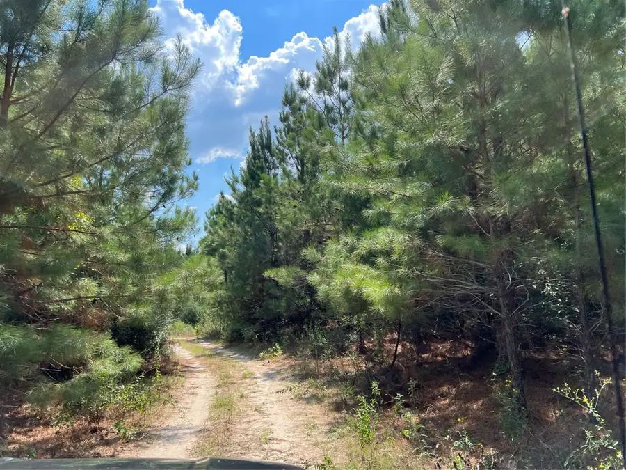 08 Fm 247, Huntsville, TX 77320 - Image #3