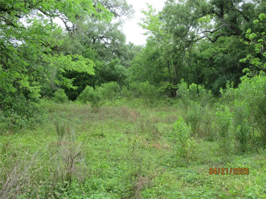 8705 Stephen F Austin Road, Freeport, TX 77541 - #2