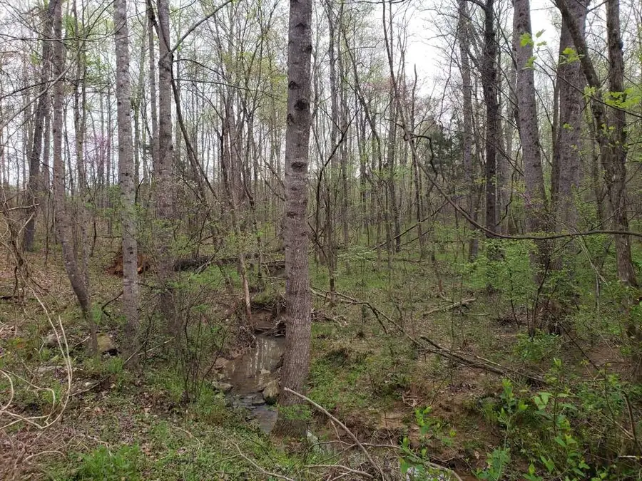 7092 Porter Drive, Oxford, NC 27565 - #2