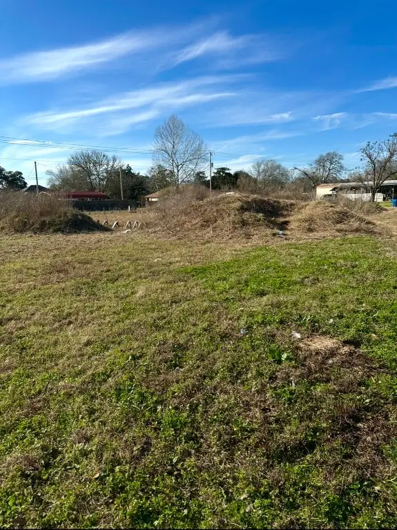 702 Market Street, Hempstead, TX 77445 - #3