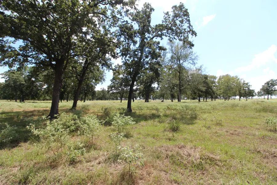 Tbd Bowler Road, Waller, TX 77484 - #3