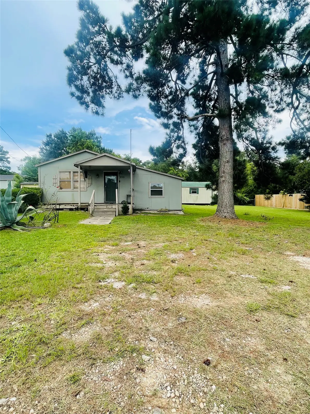 255 Bluebonnet, Livingston, TX 77351 - #1