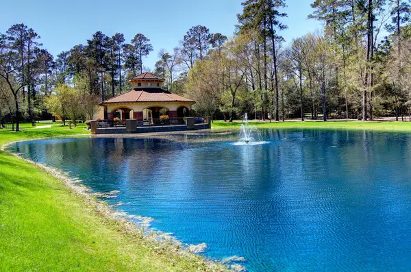 30 Lamerie Way, The Woodlands, TX 77382