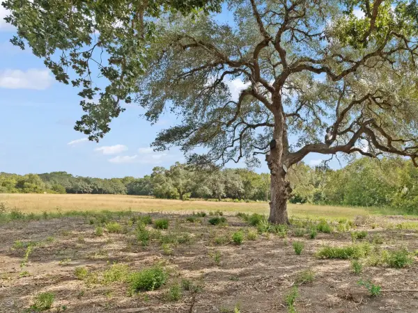 2763 Fm 956, Schulenburg, TX 78956