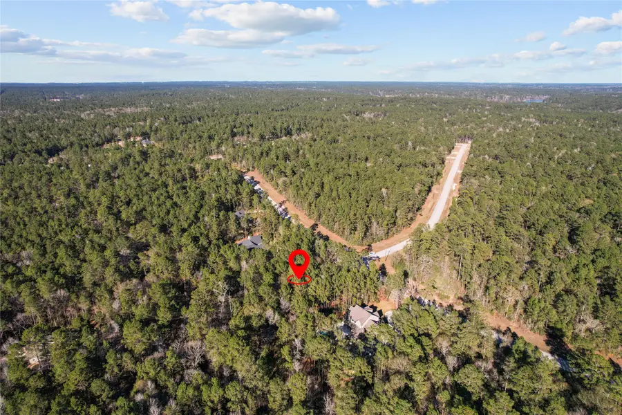 160 Brahman Lane, New Waverly, TX 77358 - Image #2