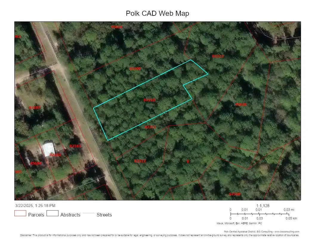 Lot 307 Lumbermans Road, Onalaska, TX 77360 - #1