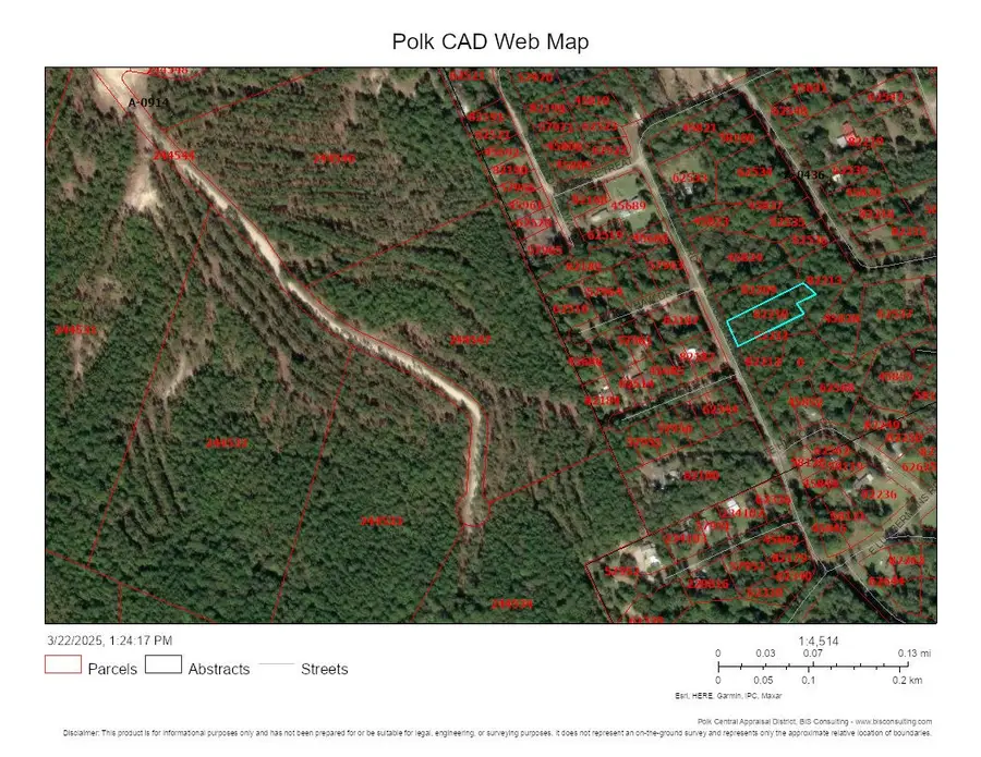 Lot 307 Lumbermans Road, Onalaska, TX 77360 - #2