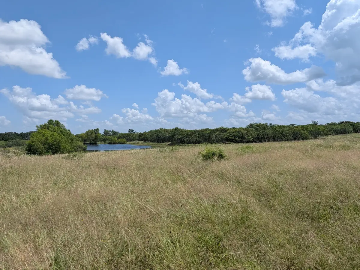0016 County Road 115, Bedias, TX 77831 - #1
