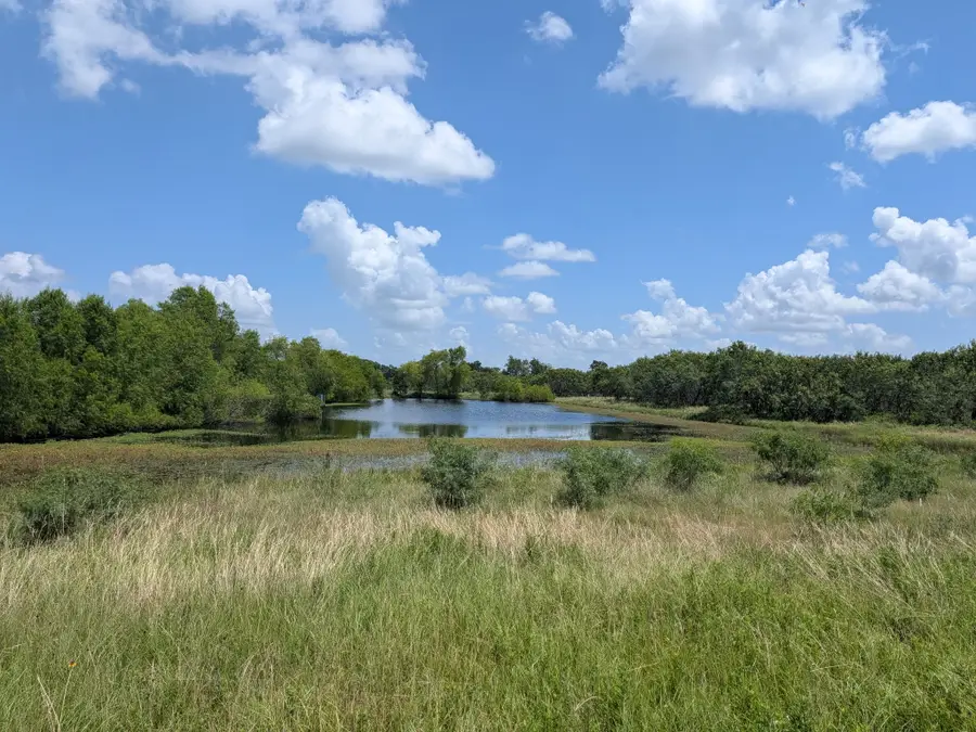 0016 County Road 115, Bedias, TX 77831 - #3