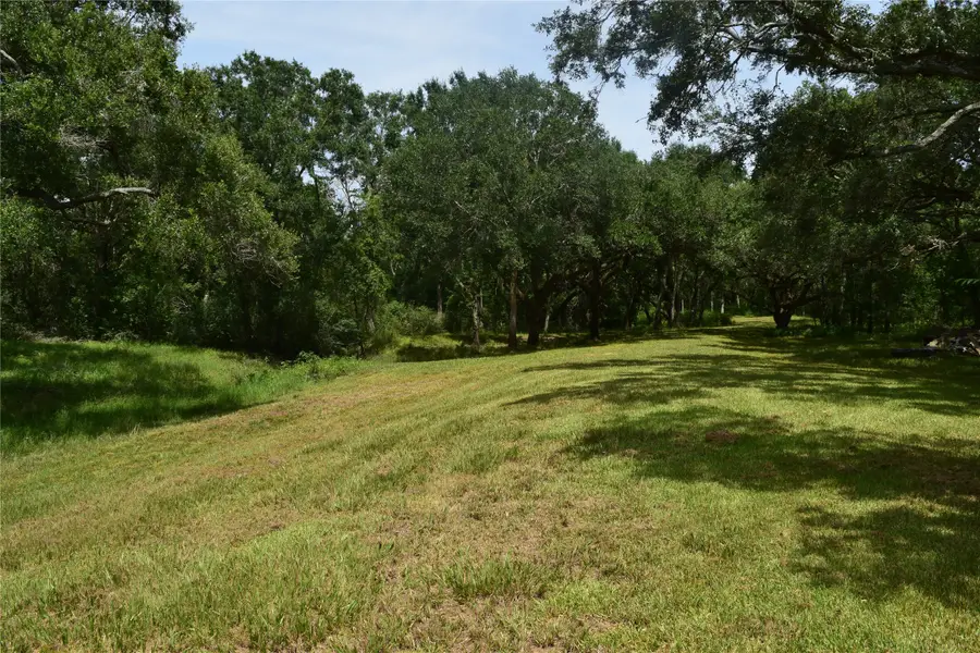 0 County Road 121, Rosharon, TX 77583 - #2
