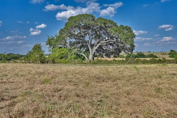 44 Acres Ganske Road, Burton, TX 77835