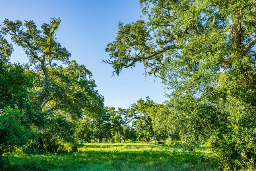 19329 Cr 319, Brazoria, TX 77422 - #2