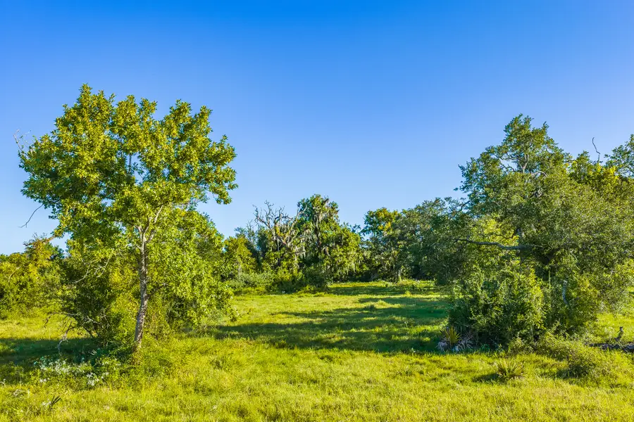 19329 Cr 319, Brazoria, TX 77422 - #3