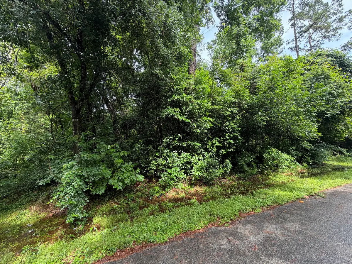 Lot 20 Idlewild Road, New Caney, TX 77357 - #1