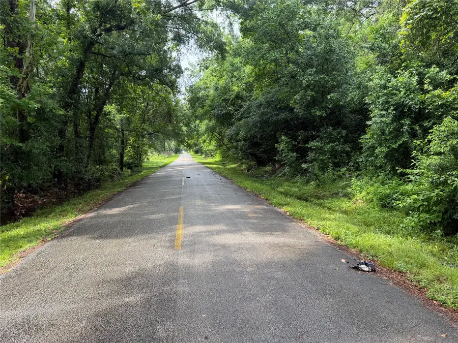 Lot 20 Idlewild Road, New Caney, TX 77357 - #3
