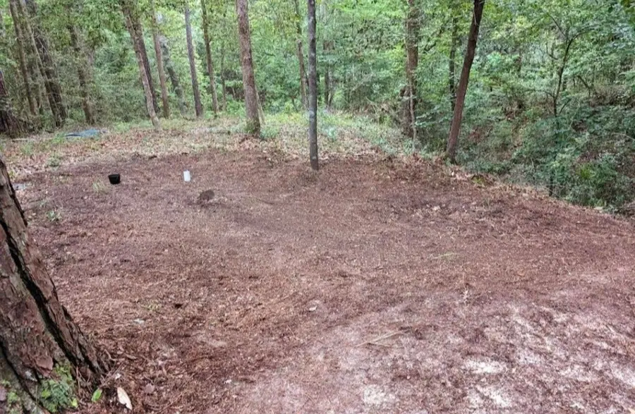 181 Sally Mayes Drive, Livingston, TX 77351 - Image #2