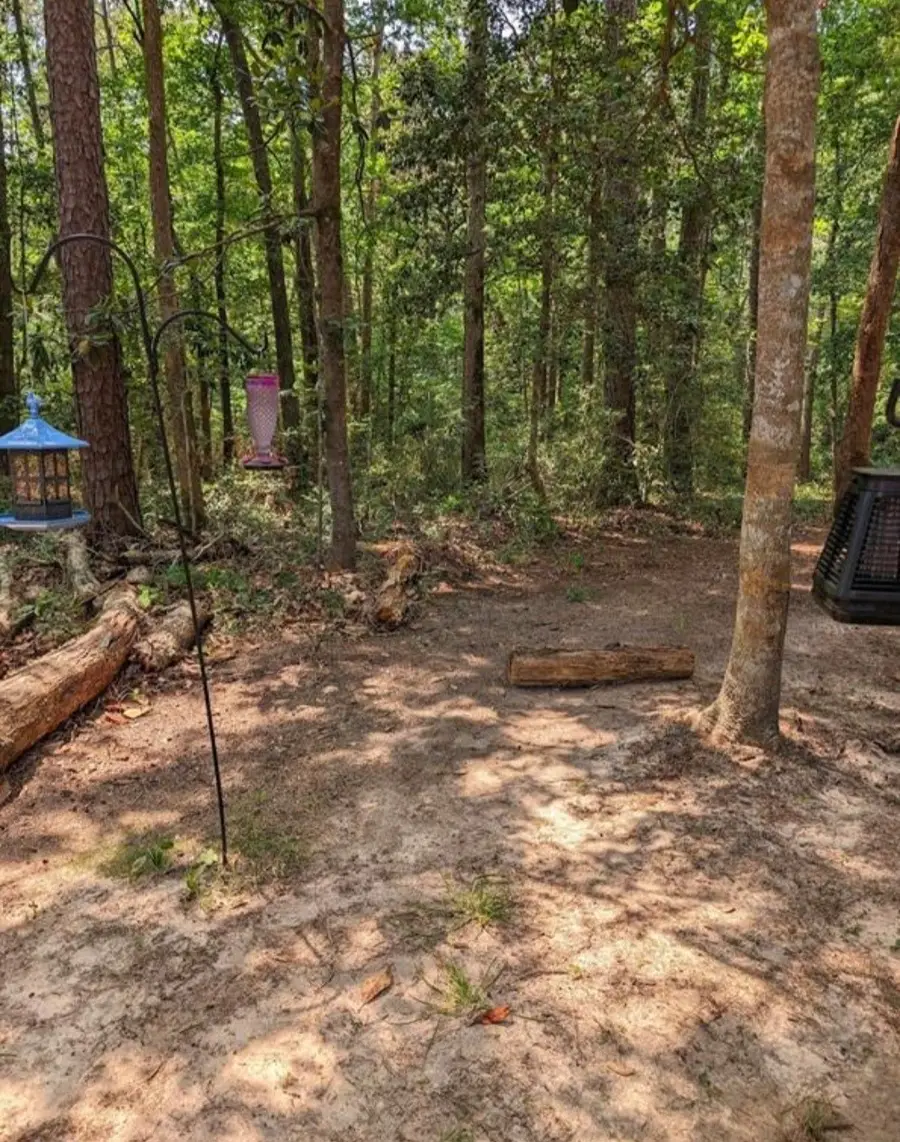 181 Sally Mayes Drive, Livingston, TX 77351 - Image #3