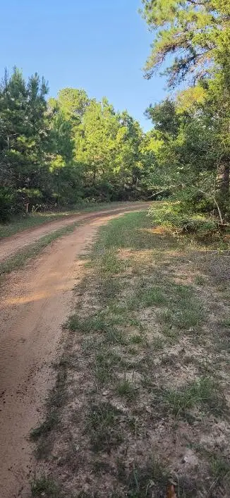 00 Eagle Drive, Waller, TX 77445 - #3