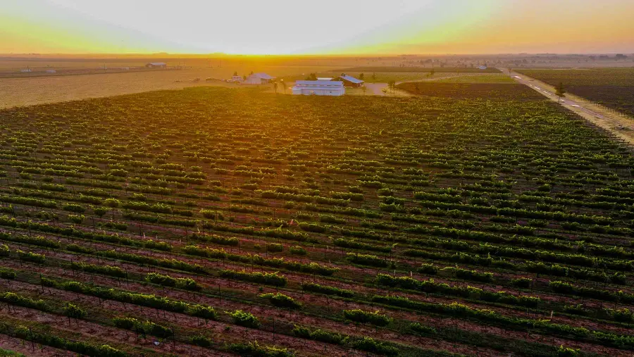 374 Fm 1317, Tahoka, TX 79373 - #2