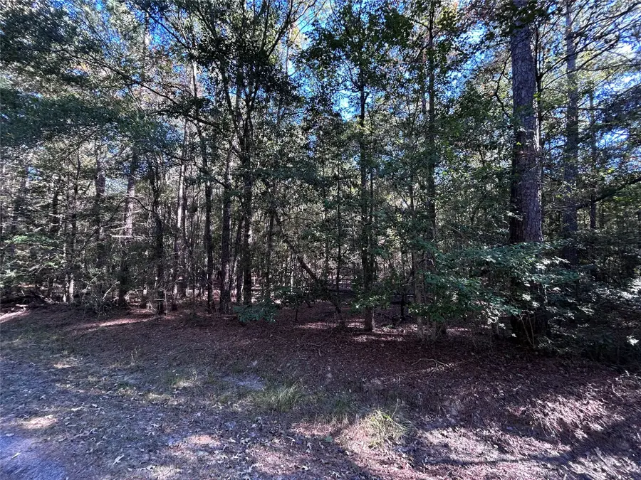 lot 16 Hackberry Drive, Village Mills, TX 77663 - Image #2