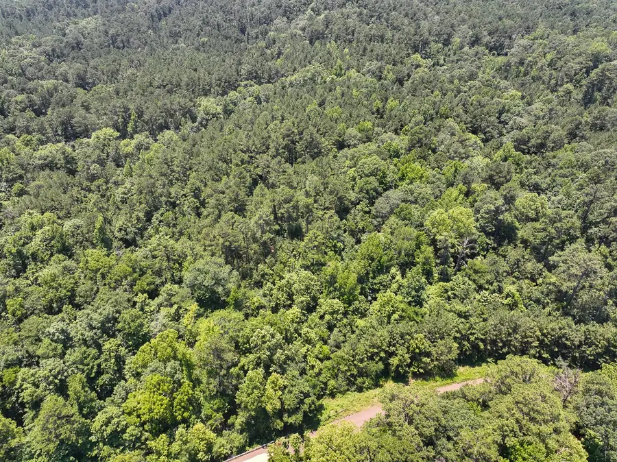 2 Lick Skillet Road, Milam, TX 75959 - #3