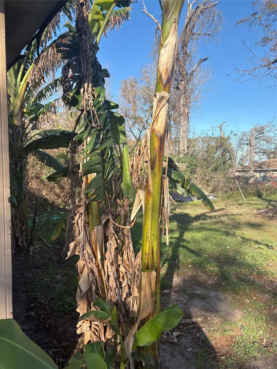 5522 Greylog Drive, Houston, TX 77048 - #3